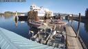 ./images/quadra/hbidock/20241012/hbidock20241012_105002M.jpg