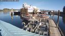 ./images/quadra/hbidock/20241012/hbidock20241012_110003M.jpg