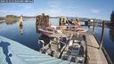 ./images/quadra/hbidock/20241012/hbidock20241012_113503M.jpg