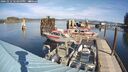 ./images/quadra/hbidock/20241012/hbidock20241012_122500M.jpg