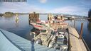 ./images/quadra/hbidock/20241012/hbidock20241012_133003M.jpg