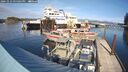 ./images/quadra/hbidock/20241012/hbidock20241012_145002M.jpg