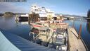 ./images/quadra/hbidock/20241012/hbidock20241012_145503M.jpg