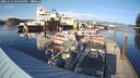 ./images/quadra/hbidock/20241012/hbidock20241012_163502M.jpg