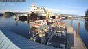 ./images/quadra/hbidock/20241012/hbidock20241012_164003M.jpg