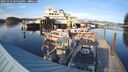 ./images/quadra/hbidock/20241012/hbidock20241012_164503M.jpg