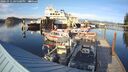 ./images/quadra/hbidock/20241012/hbidock20241012_165500M.jpg
