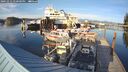 ./images/quadra/hbidock/20241012/hbidock20241012_170000M.jpg