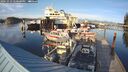 ./images/quadra/hbidock/20241012/hbidock20241012_170500M.jpg