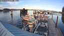 ./images/quadra/hbidock/20241012/hbidock20241012_171502M.jpg