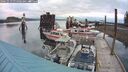 ./images/quadra/hbidock/20241013/hbidock20241013_074003M.jpg