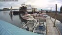 ./images/quadra/hbidock/20241013/hbidock20241013_084003M.jpg
