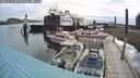 ./images/quadra/hbidock/20241013/hbidock20241013_085503M.jpg