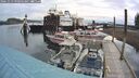 ./images/quadra/hbidock/20241013/hbidock20241013_090003M.jpg