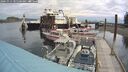 ./images/quadra/hbidock/20241013/hbidock20241013_105501M.jpg