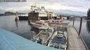 ./images/quadra/hbidock/20241013/hbidock20241013_124500M.jpg