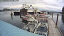 ./images/quadra/hbidock/20241013/hbidock20241013_130502M.jpg