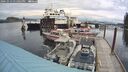 ./images/quadra/hbidock/20241013/hbidock20241013_131001M.jpg