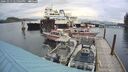 ./images/quadra/hbidock/20241013/hbidock20241013_145003M.jpg