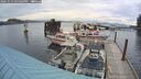 ./images/quadra/hbidock/20241013/hbidock20241013_154503M.jpg
