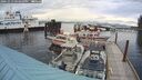./images/quadra/hbidock/20241013/hbidock20241013_163500M.jpg