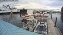 ./images/quadra/hbidock/20241013/hbidock20241013_163502M.jpg