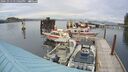 ./images/quadra/hbidock/20241013/hbidock20241013_171003M.jpg