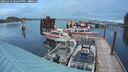 ./images/quadra/hbidock/20241013/hbidock20241013_182500M.jpg