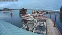 ./images/quadra/hbidock/20241013/hbidock20241013_182503M.jpg