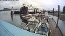 ./images/quadra/hbidock/20241014/hbidock20241014_103502M.jpg