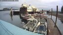 ./images/quadra/hbidock/20241014/hbidock20241014_104503M.jpg