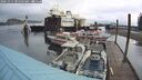 ./images/quadra/hbidock/20241014/hbidock20241014_105503M.jpg