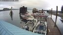 ./images/quadra/hbidock/20241014/hbidock20241014_111500M.jpg