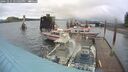 ./images/quadra/hbidock/20241014/hbidock20241014_121003M.jpg