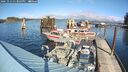 ./images/quadra/hbidock/20241014/hbidock20241014_133003M.jpg
