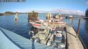 ./images/quadra/hbidock/20241014/hbidock20241014_133500M.jpg