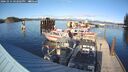 ./images/quadra/hbidock/20241014/hbidock20241014_162002M.jpg