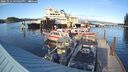 ./images/quadra/hbidock/20241014/hbidock20241014_164003M.jpg