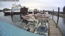 ./images/quadra/hbidock/20241015/hbidock20241015_083503M.jpg