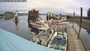 ./images/quadra/hbidock/20241015/hbidock20241015_105503M.jpg