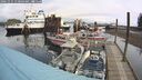 ./images/quadra/hbidock/20241015/hbidock20241015_110003M.jpg