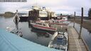 ./images/quadra/hbidock/20241015/hbidock20241015_110500M.jpg