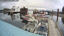 ./images/quadra/hbidock/20241015/hbidock20241015_124500M.jpg
