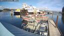 ./images/quadra/hbidock/20241015/hbidock20241015_144500M.jpg