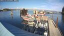 ./images/quadra/hbidock/20241015/hbidock20241015_153500M.jpg