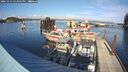 ./images/quadra/hbidock/20241015/hbidock20241015_153502M.jpg