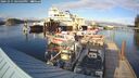 ./images/quadra/hbidock/20241015/hbidock20241015_165003M.jpg