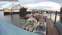 ./images/quadra/hbidock/20241016/hbidock20241016_083500M.jpg