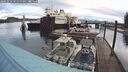 ./images/quadra/hbidock/20241016/hbidock20241016_085500M.jpg