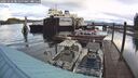 ./images/quadra/hbidock/20241016/hbidock20241016_090000M.jpg
